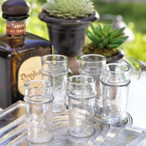 Tequila Shot Glass Set of 6